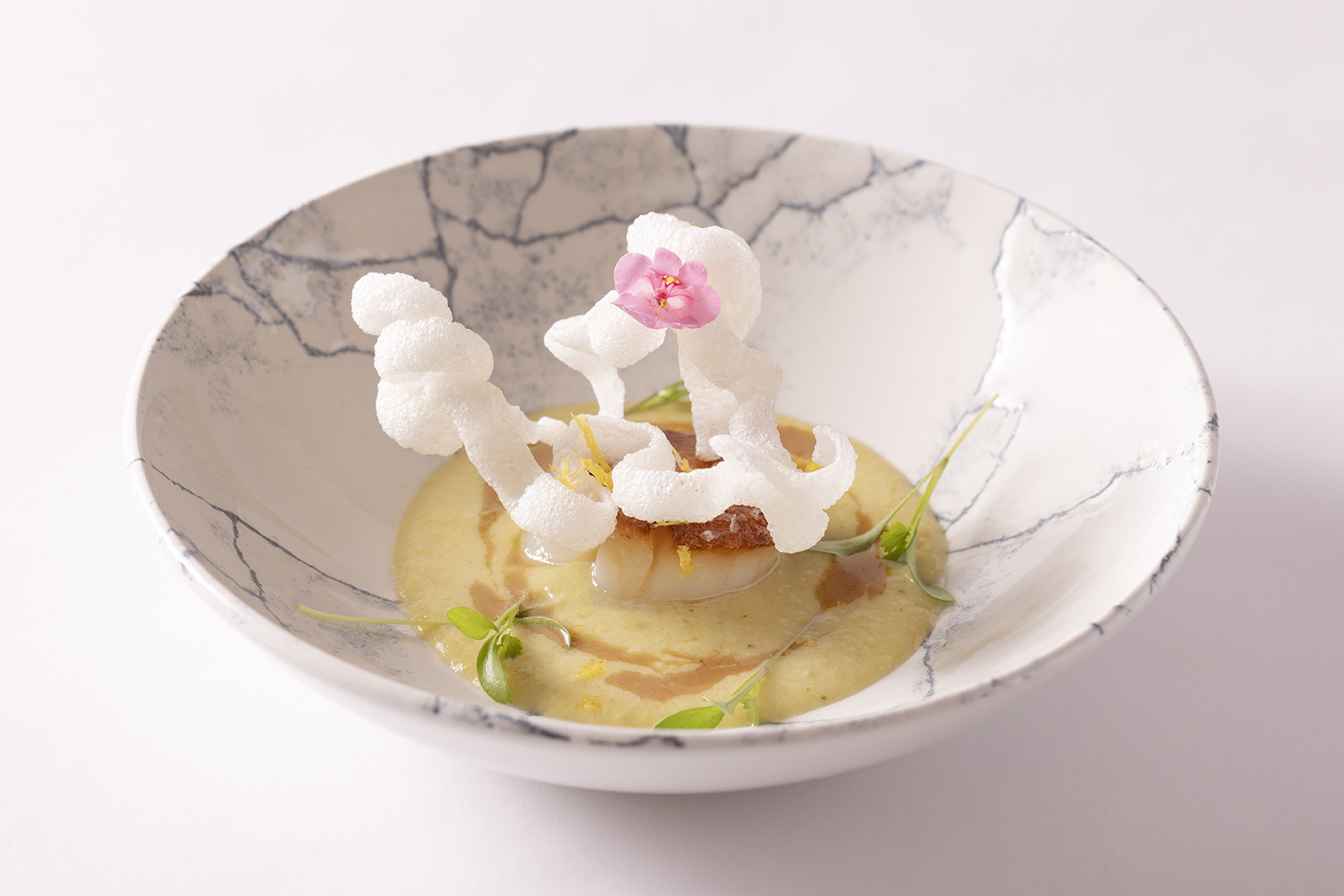 2026 M Degust Primavera 07 Ret